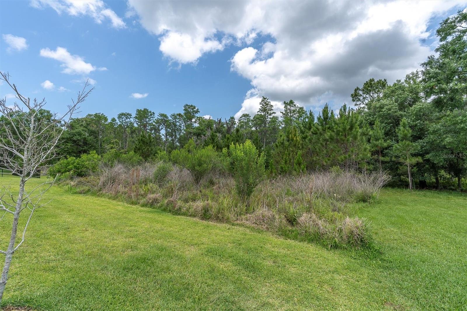 12539 WETMORE CT