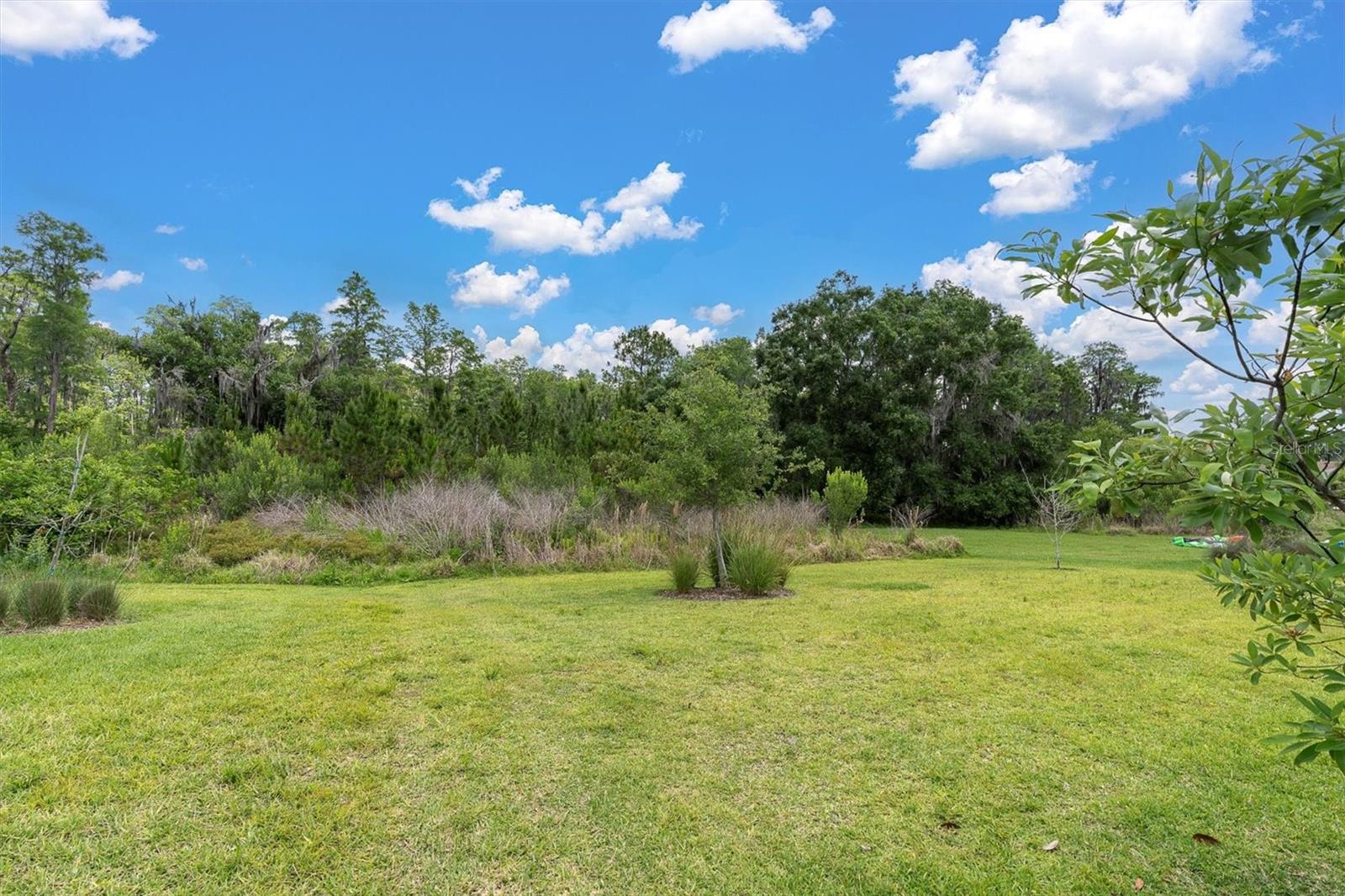 12539 WETMORE CT