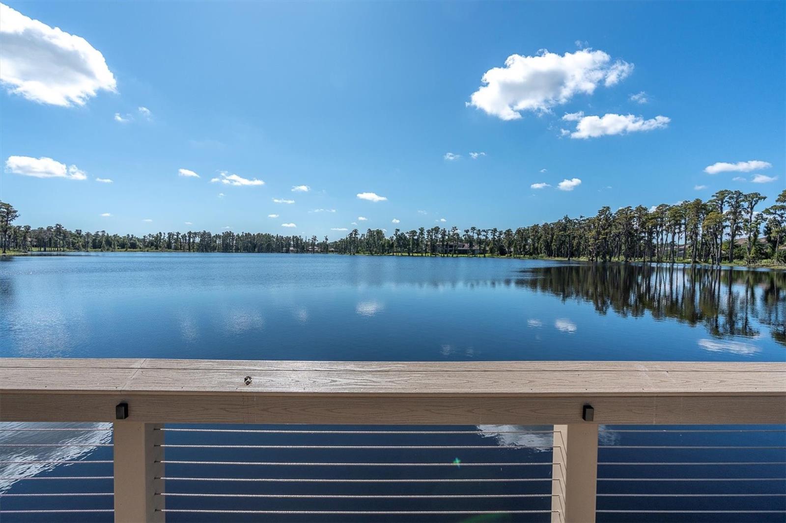 1403 MERRY WATER DR