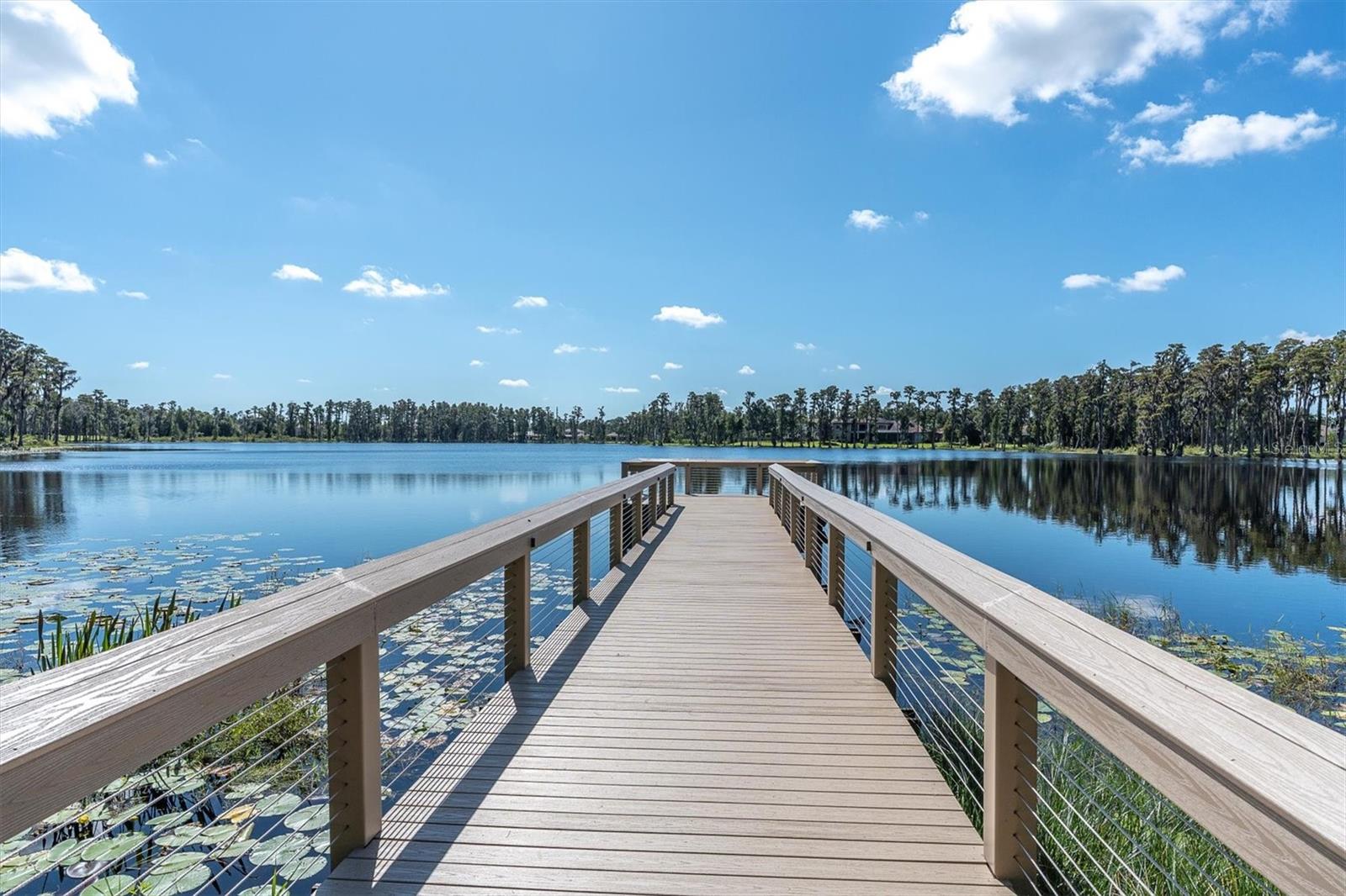 1403 MERRY WATER DR