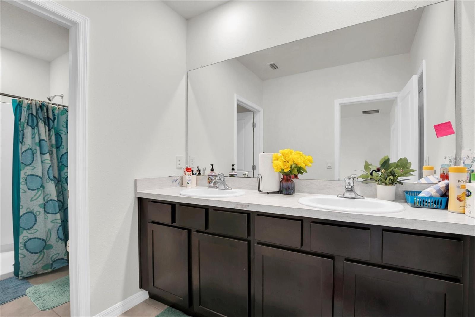 2917 SUNCOAST PLAINS DR