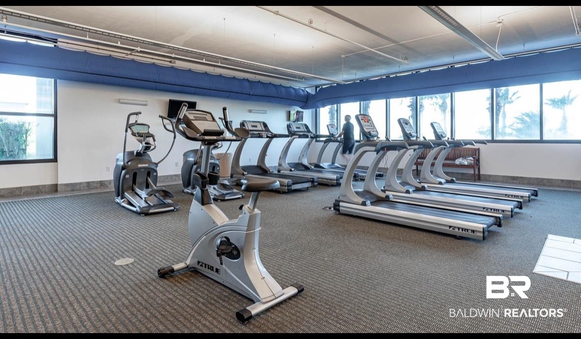 23972 Perdido Beach Boulevard 1204