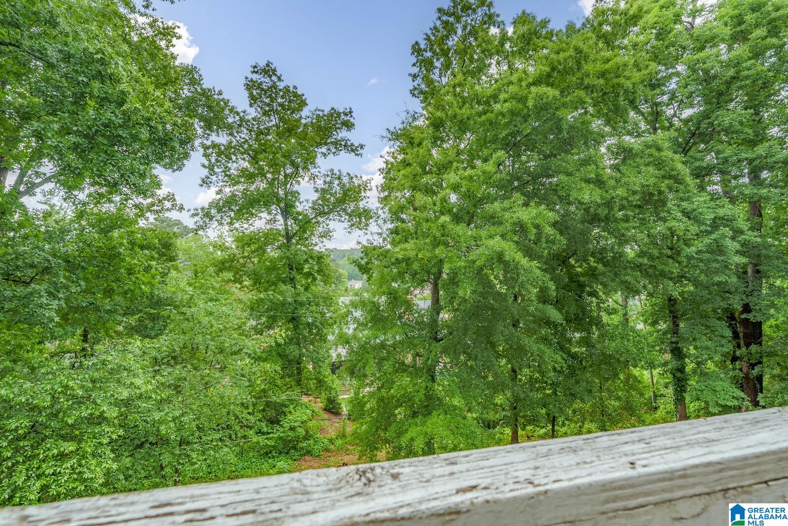 3520 MOUNTAIN PARK DRIVE