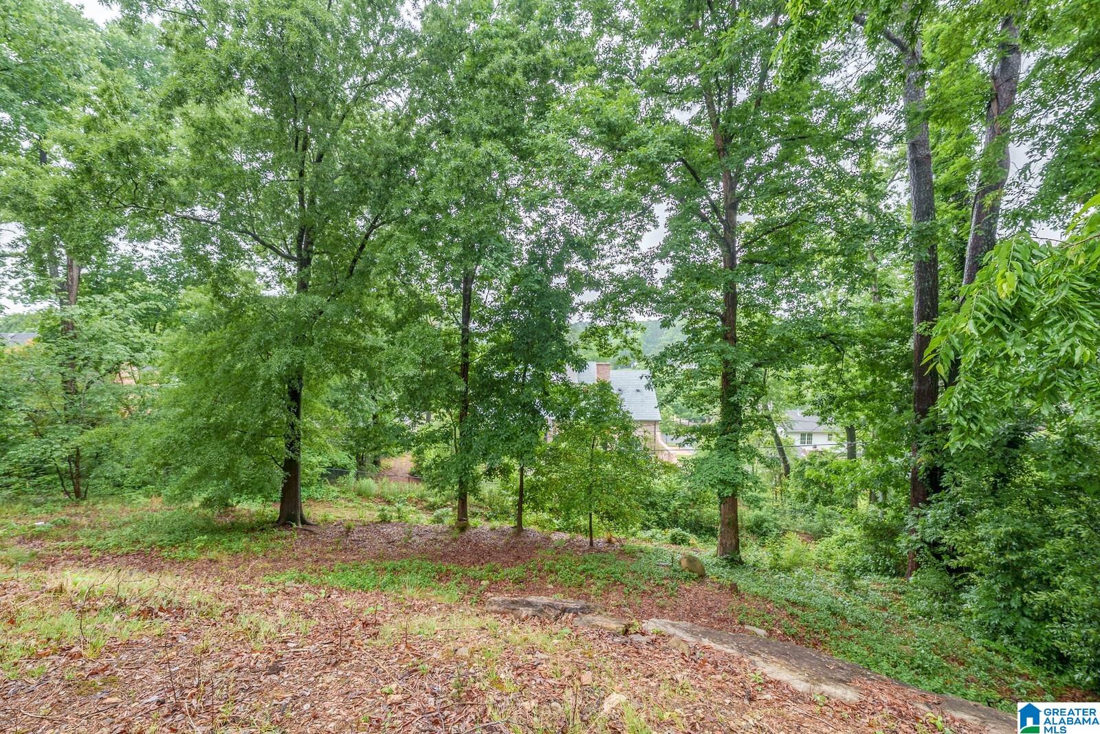 3520 MOUNTAIN PARK DRIVE