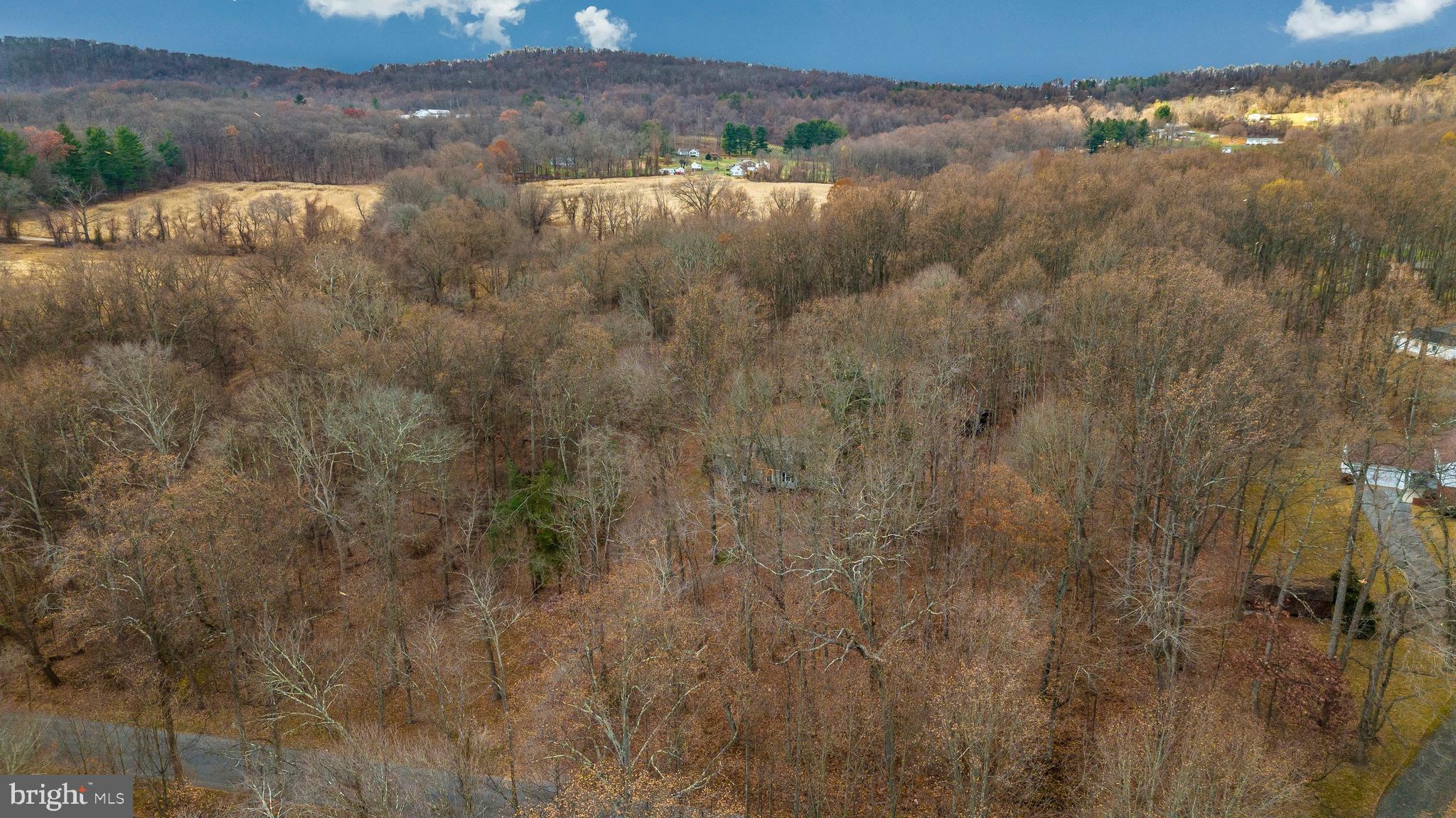 10724 Grindstone Run Road ROAD