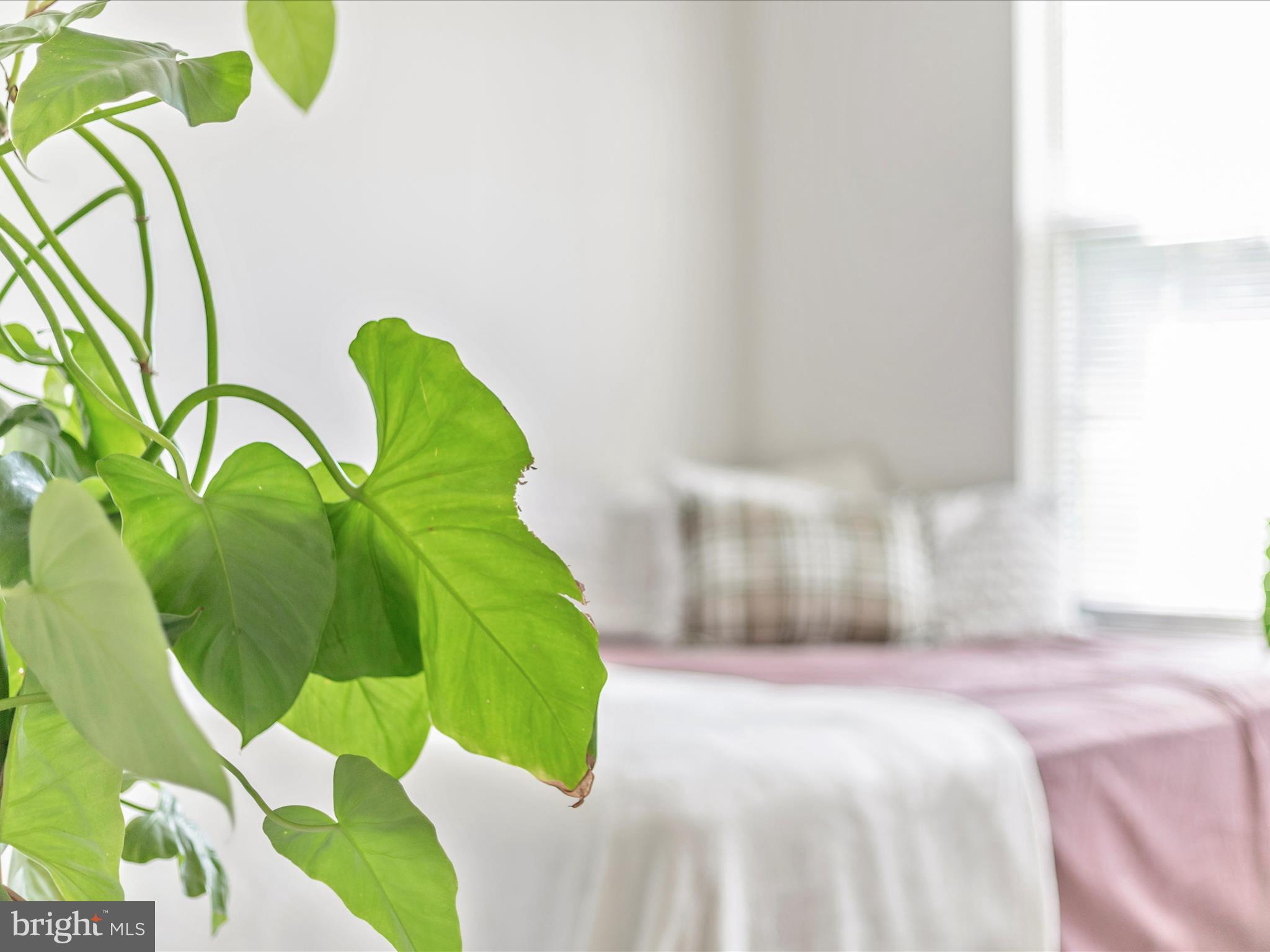 5600 AVONSHIRE PLACE G