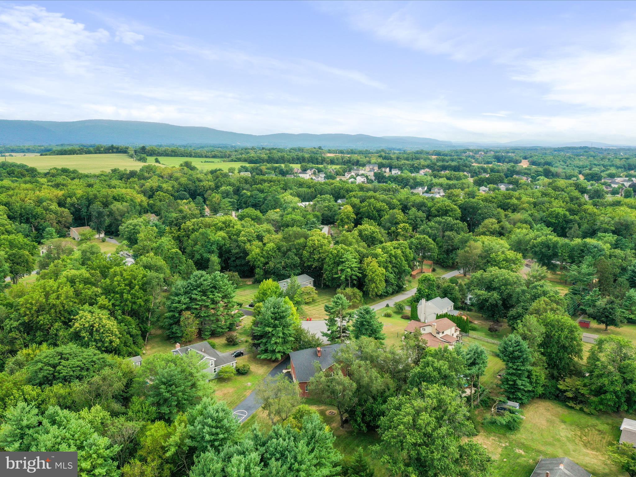 11724 MOCKINGBIRD LANE