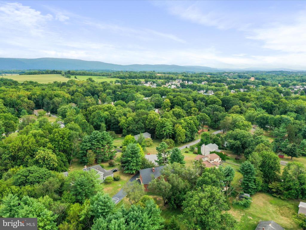 11724 MOCKINGBIRD LANE