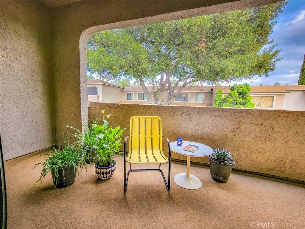 539 Wayland Court