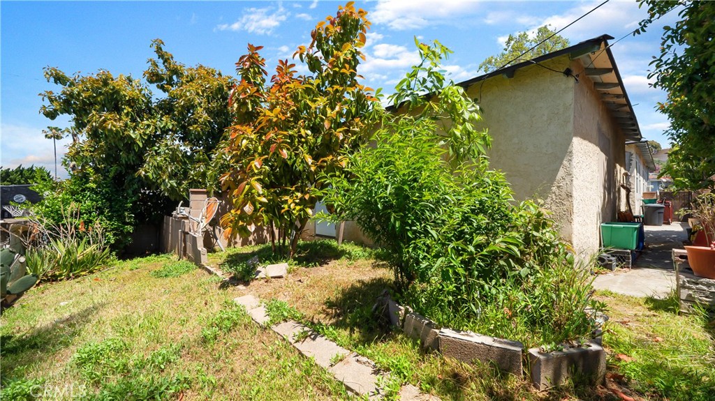 16204 Bluebonnet Street
