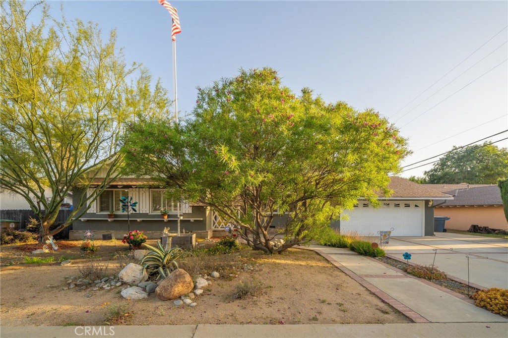 464 Cinderella Drive