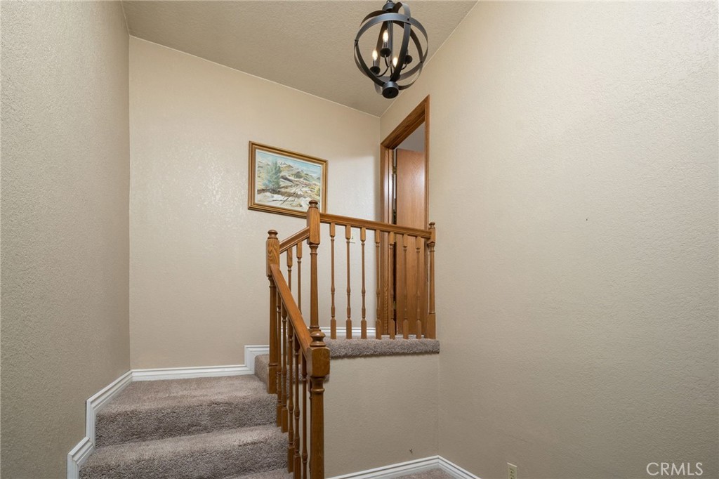 802 New Orleans Court