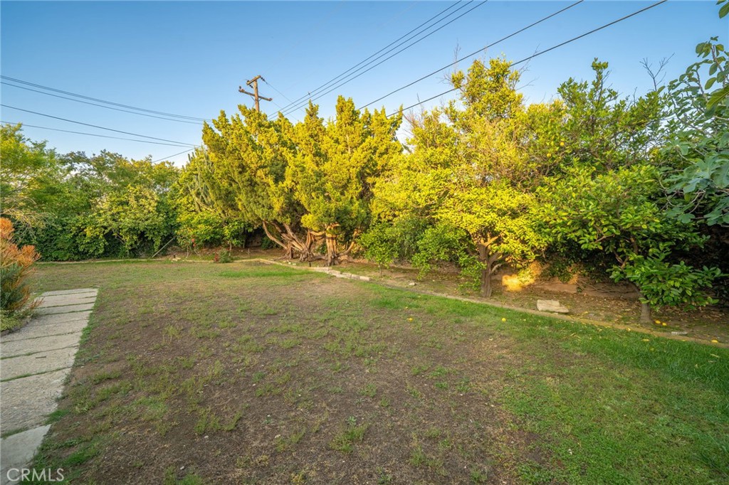 3868 Shelter Grove Drive