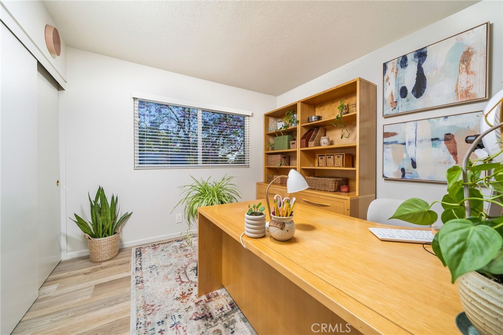 404 Mount Carmel Drive