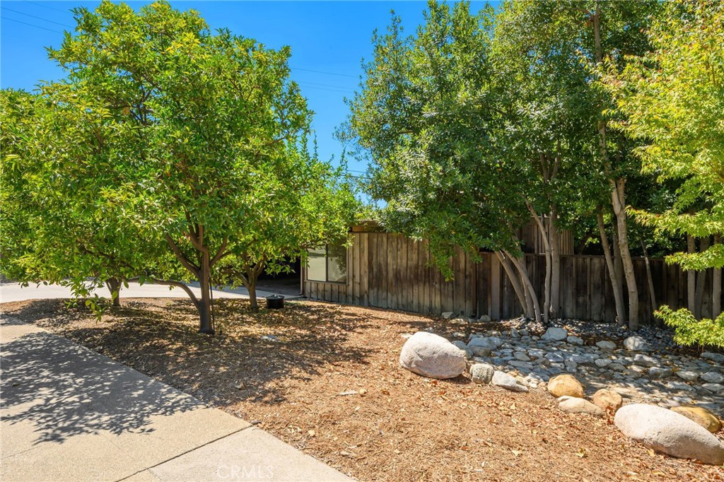 1343 Via Zurita Street