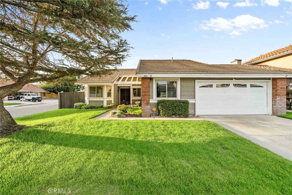 3901 San Lorenzo River Road
