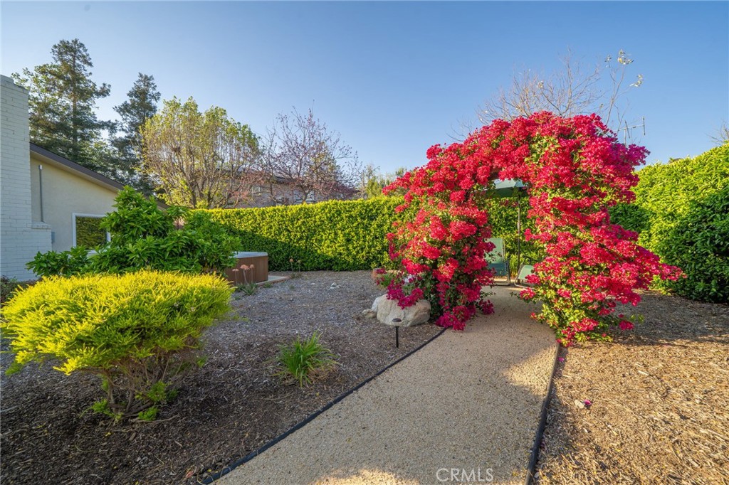 524 Mount Carmel Drive