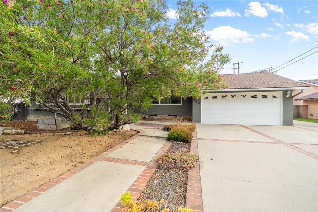 464 Cinderella Drive