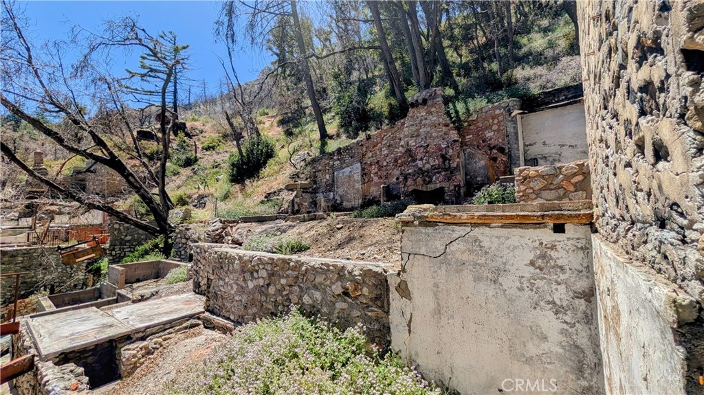 6631 Bear Canyon Road