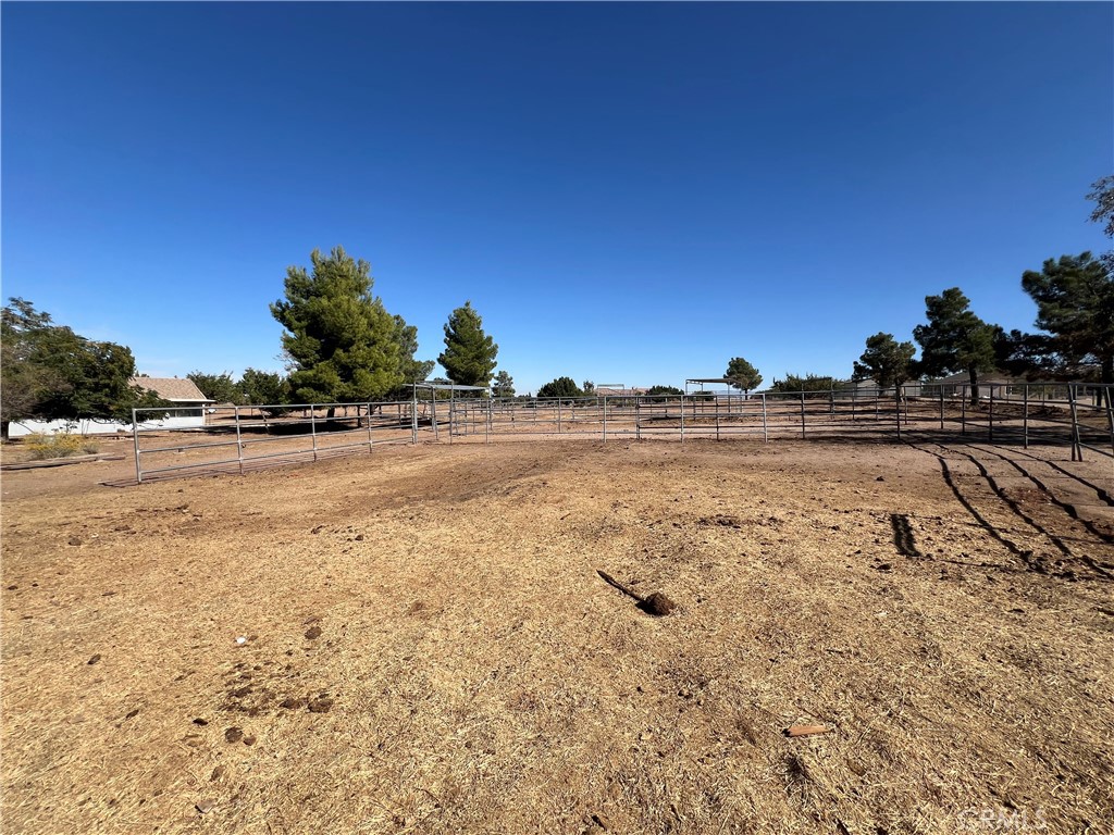 11575 Stuveling Street