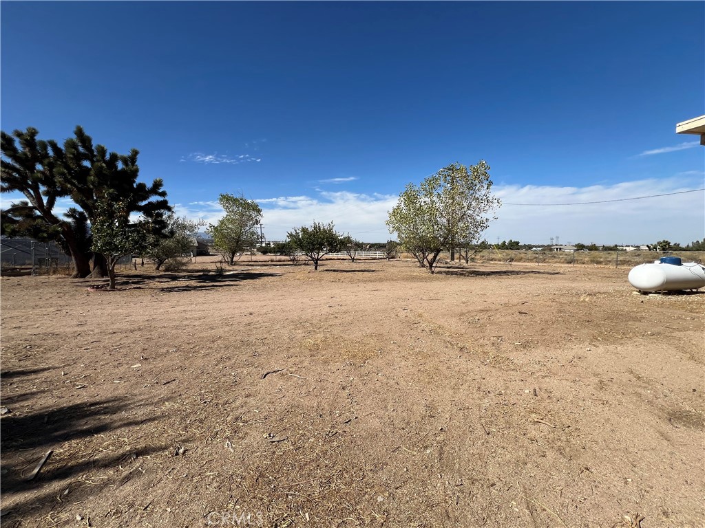 11575 Stuveling Street