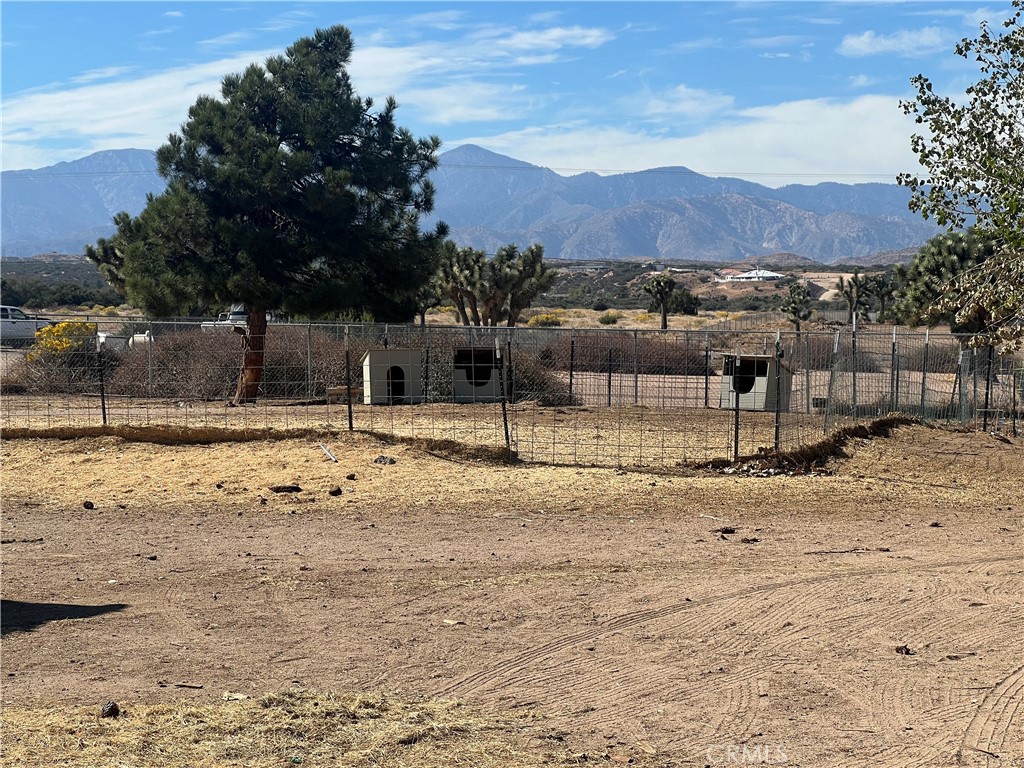 11575 Stuveling Street