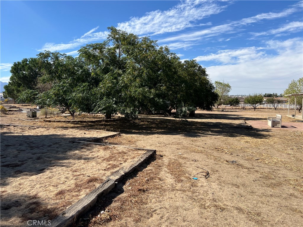 11575 Stuveling Street