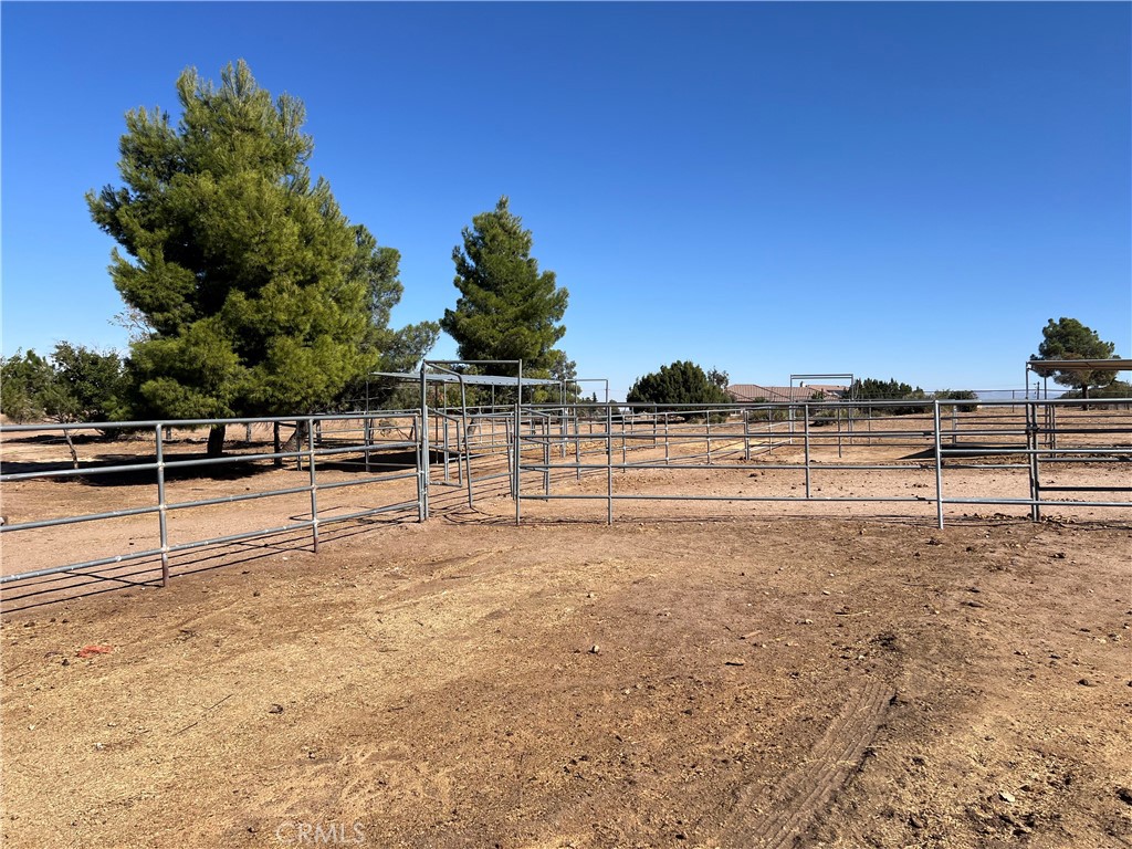 11575 Stuveling Street