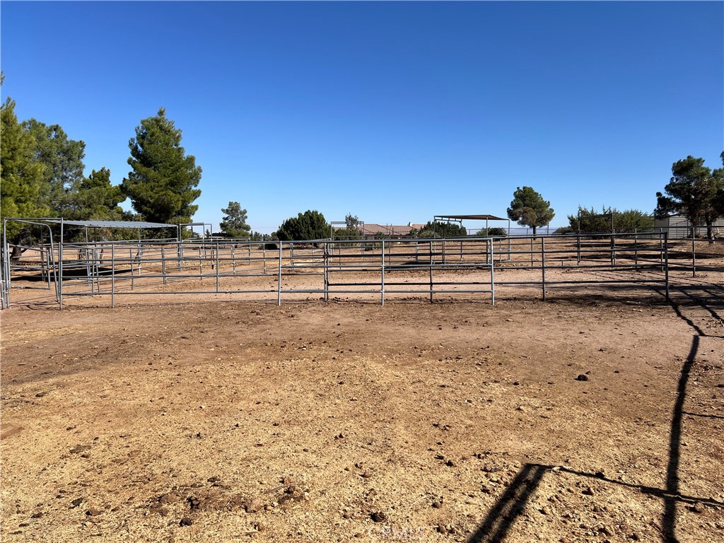 11575 Stuveling Street