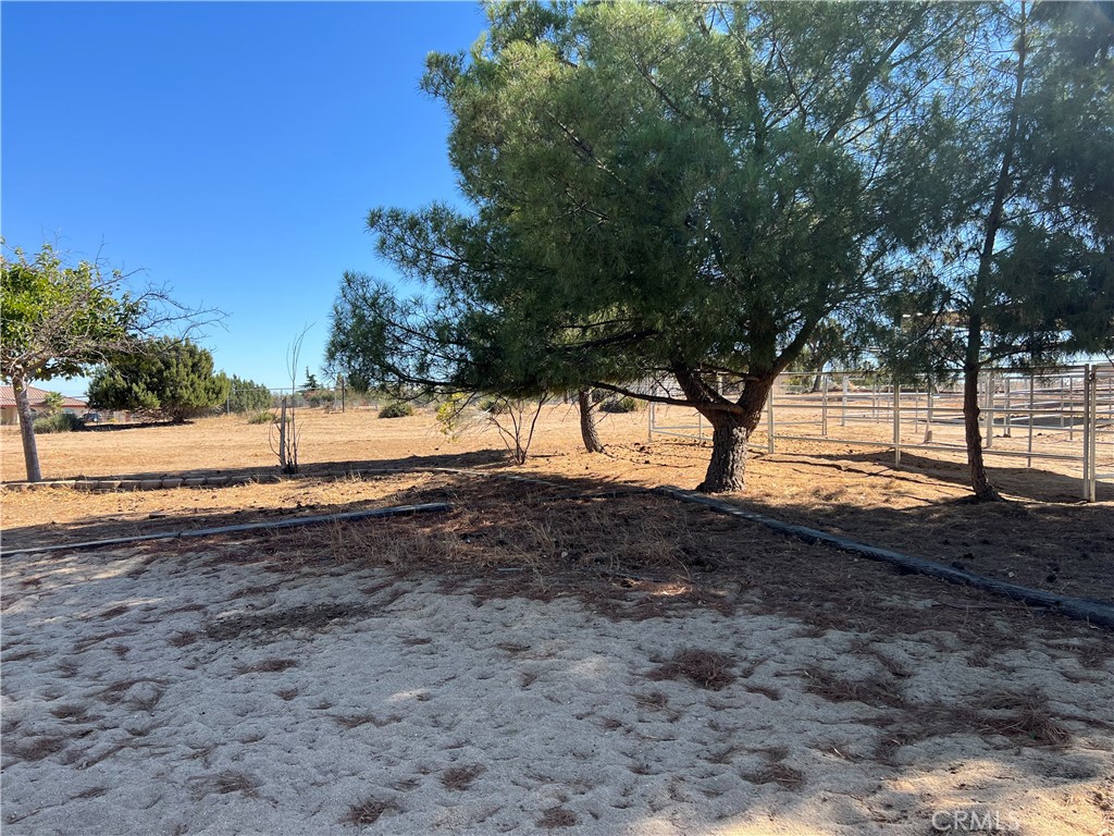 11575 Stuveling Street