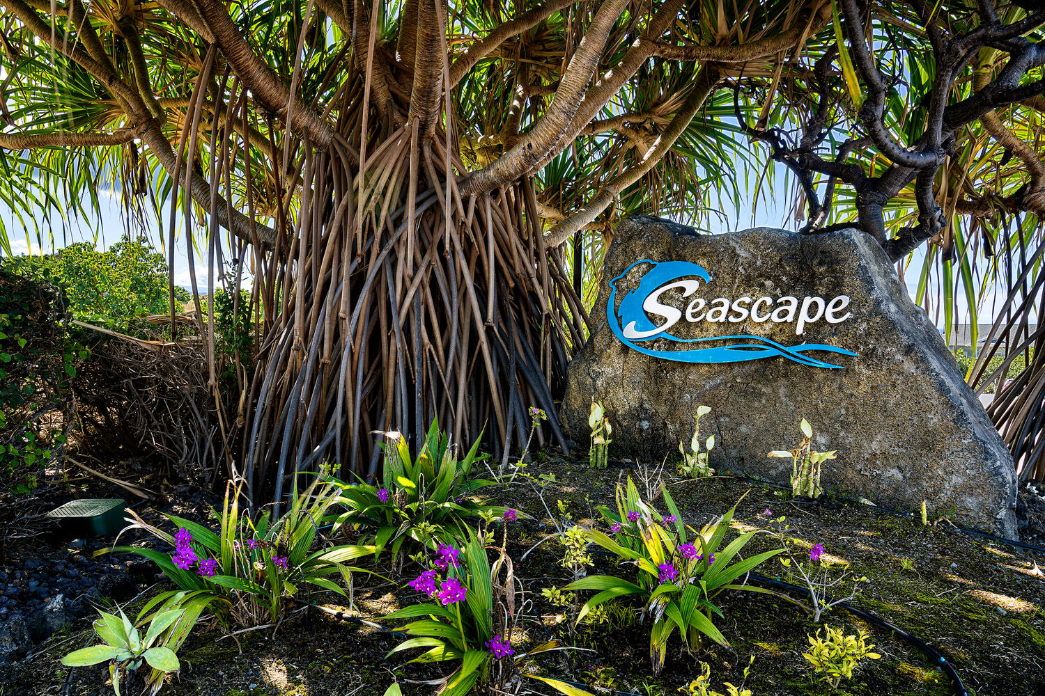 73-1104 NUUANU PL G203