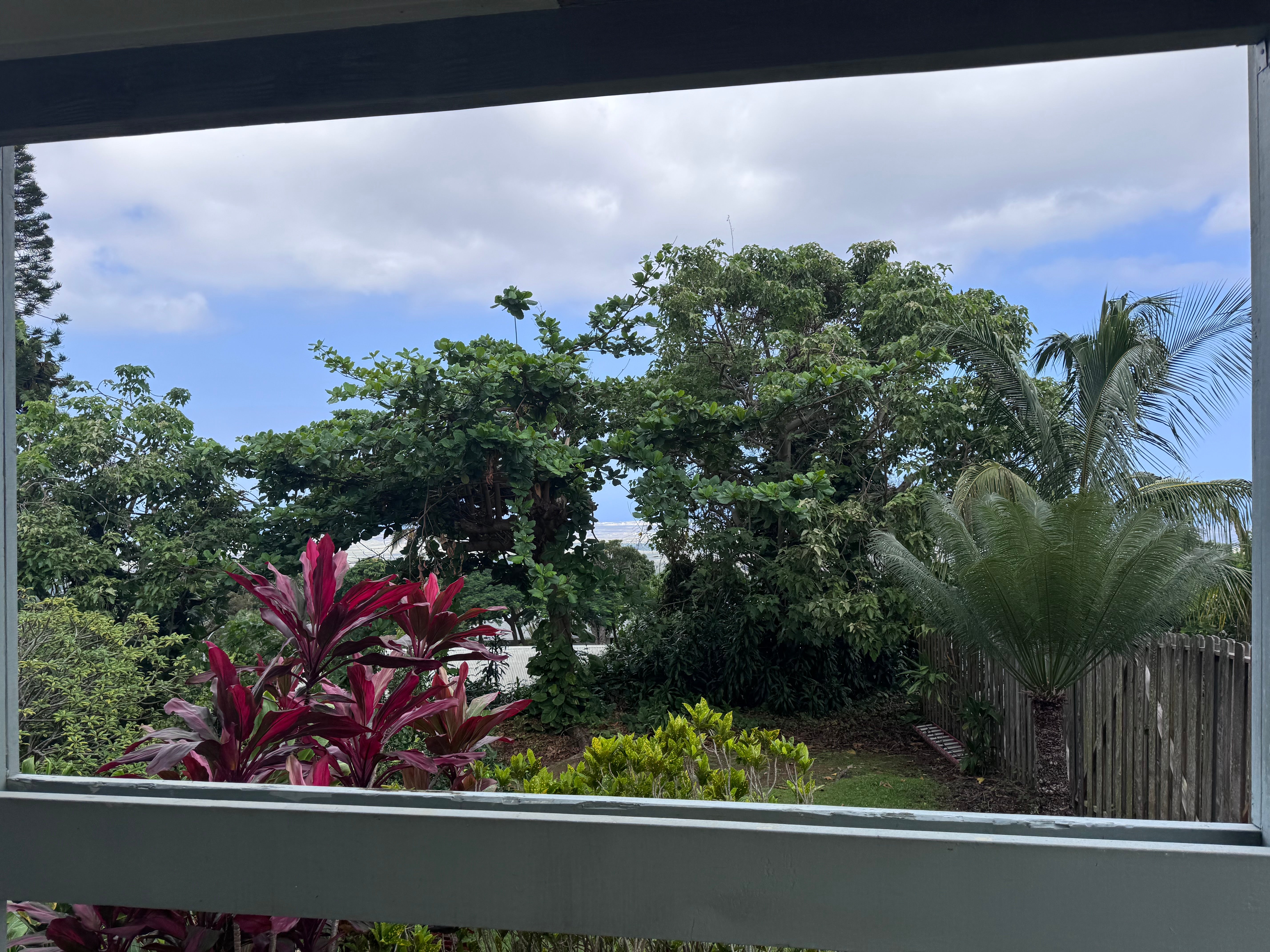 Tropical garden and distant ocean seen from a covered lanai, framed by red ti plants and palms.