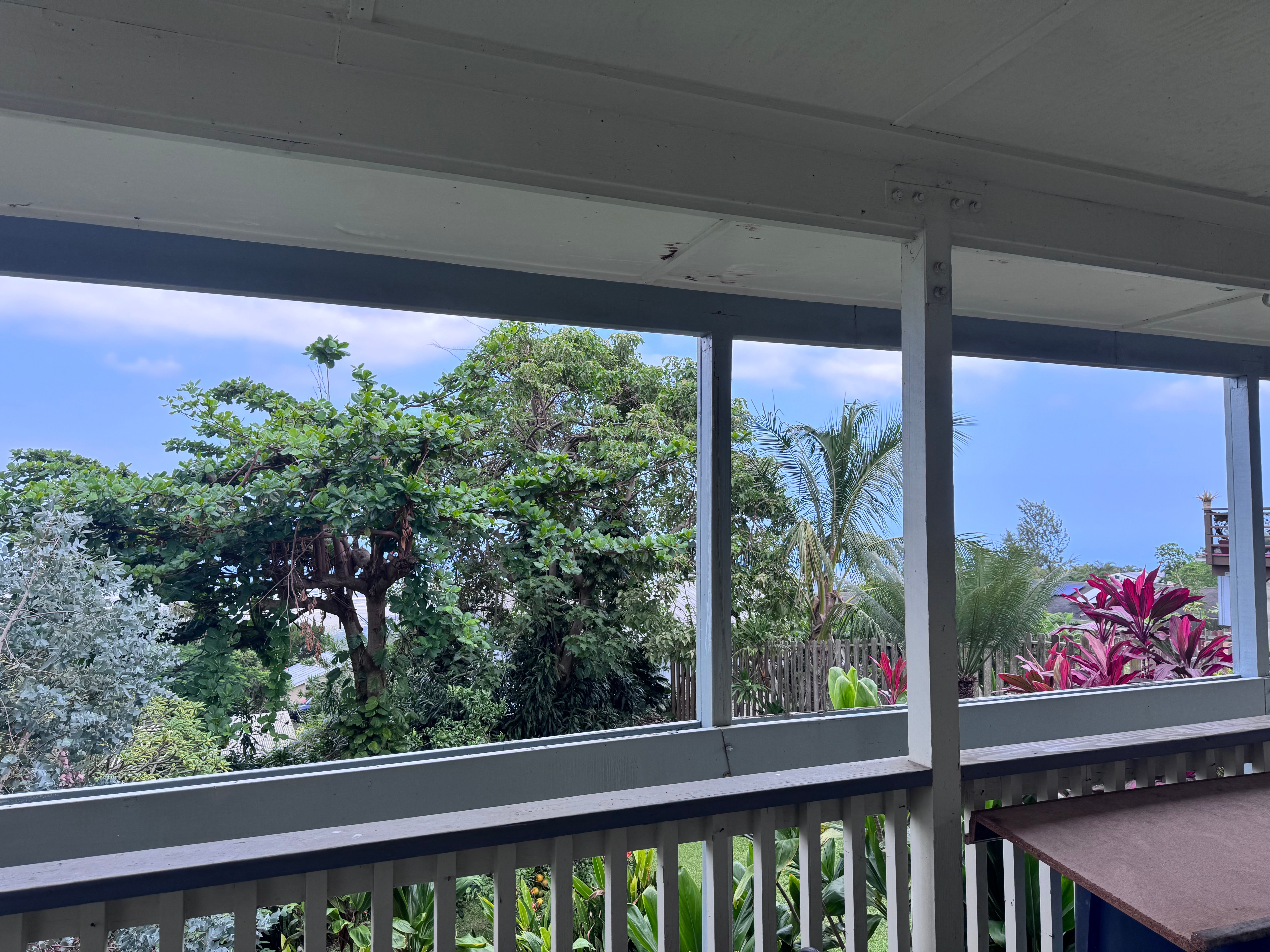 Covered porch overlooking lush tropical landscaping and palm trees, with a table beside the railing.