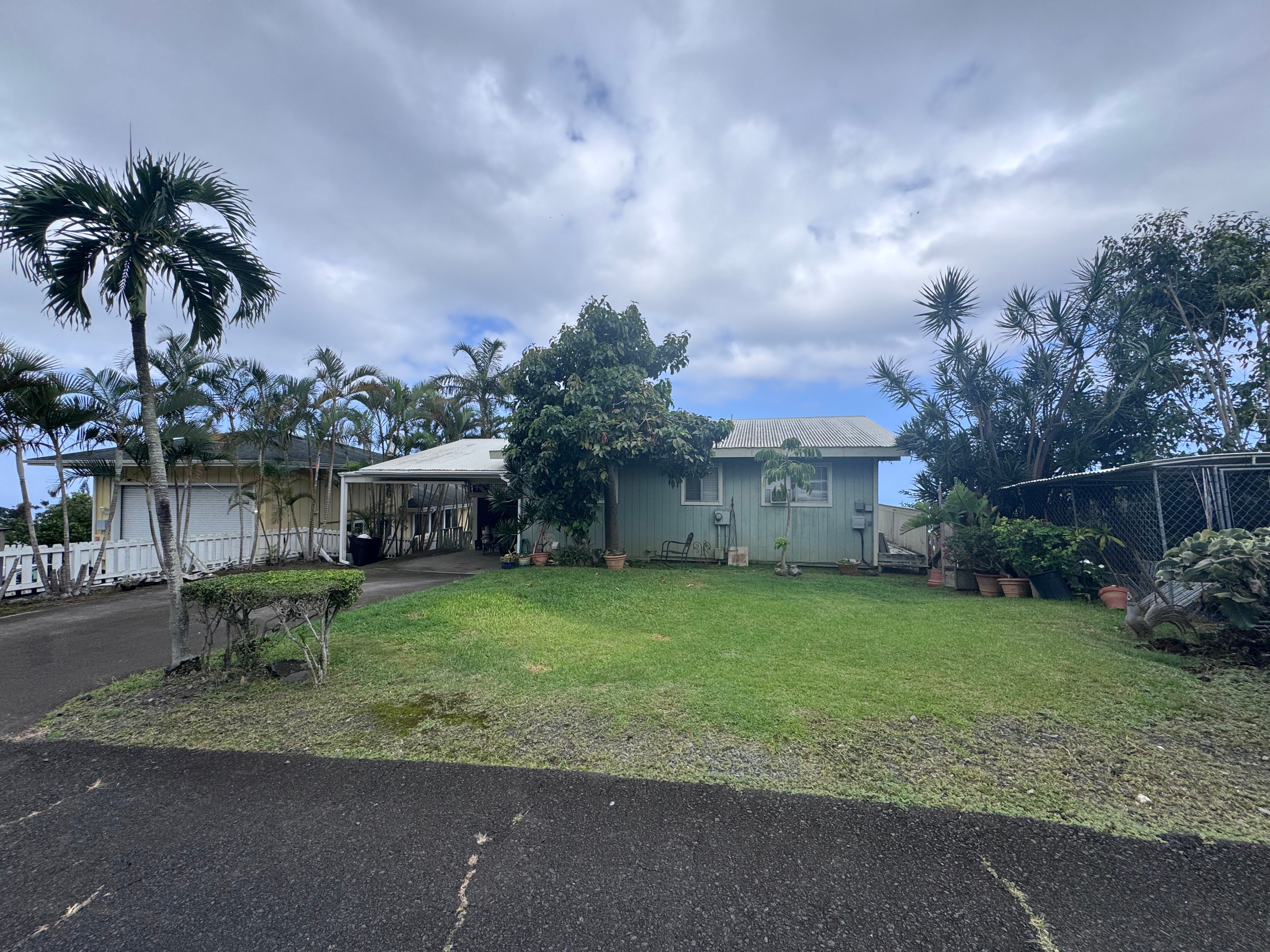 Single-story green home with a covered carport, front lawn, and tropical palms.