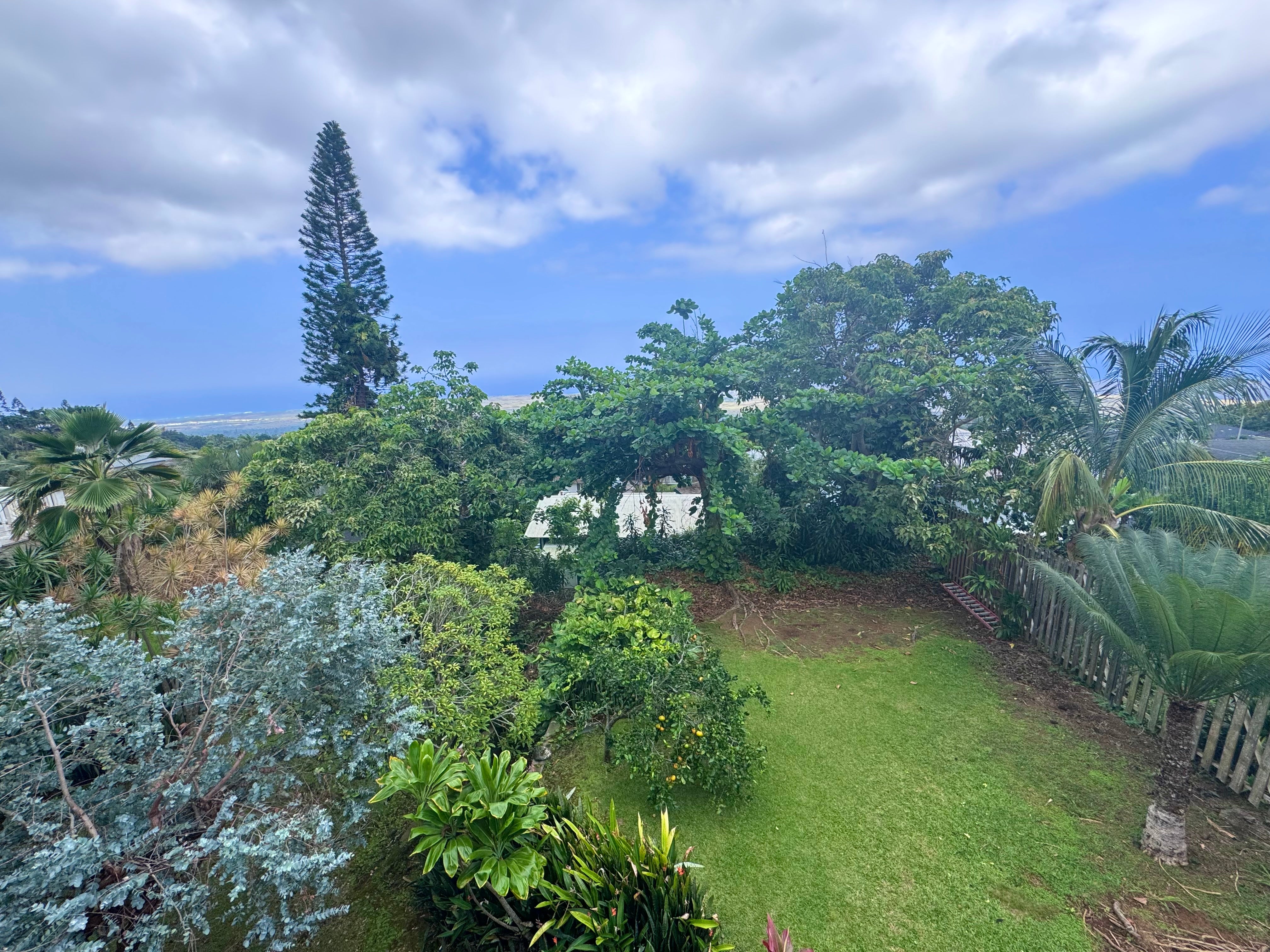 Tropical backyard lawn framed by palms and lush trees, with a distant ocean view.