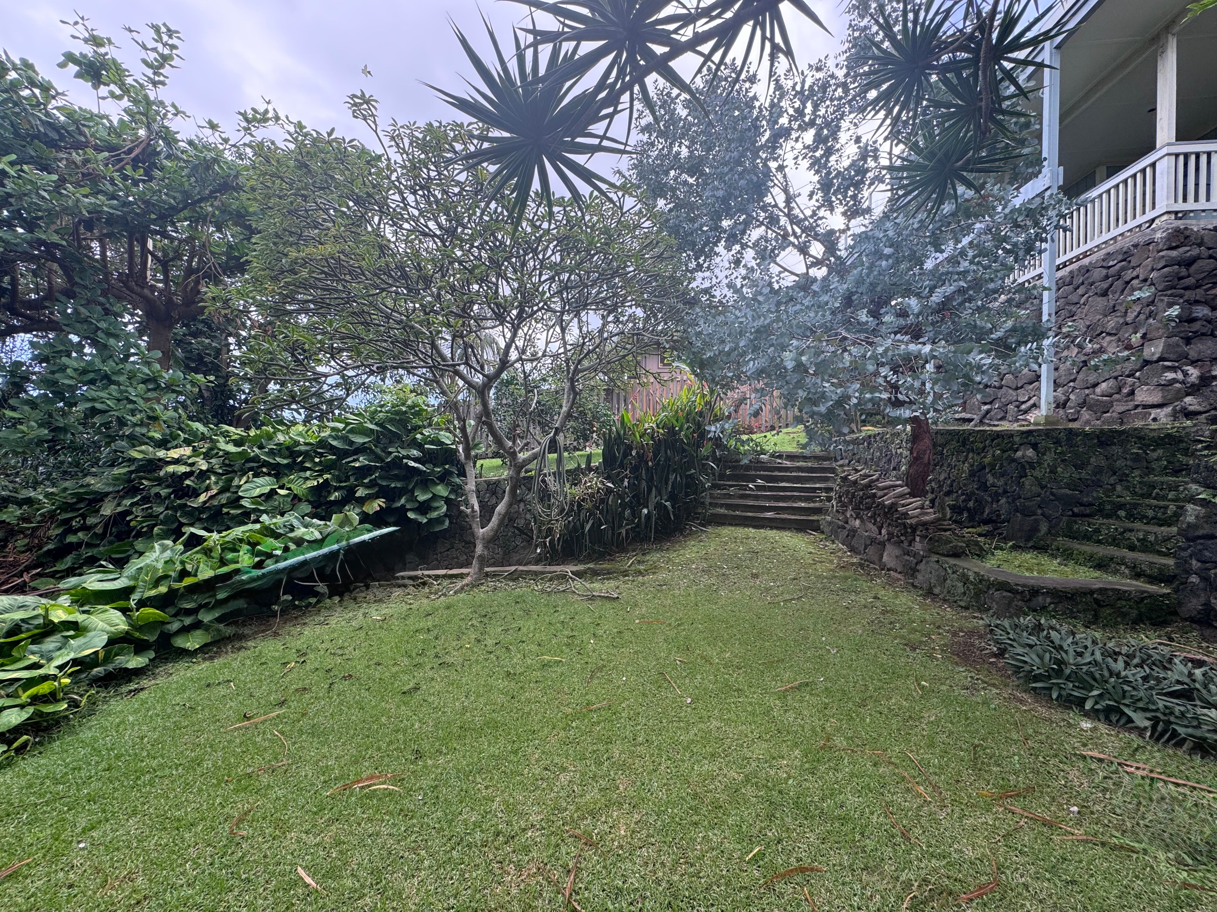 Tropical landscaped yard with stone steps, retaining walls, and dense greenery beside the house.