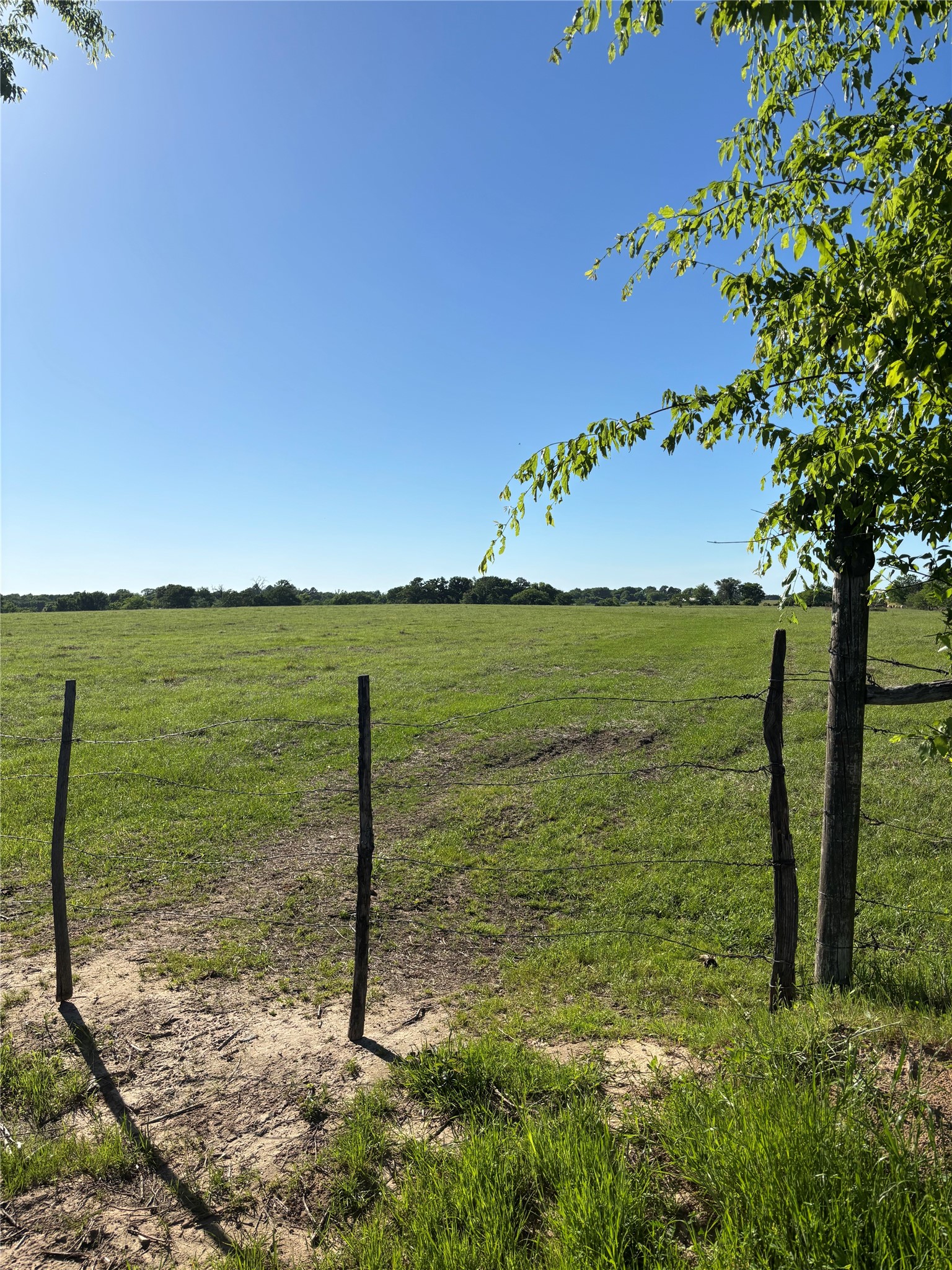 TBD VZ County Road 3119