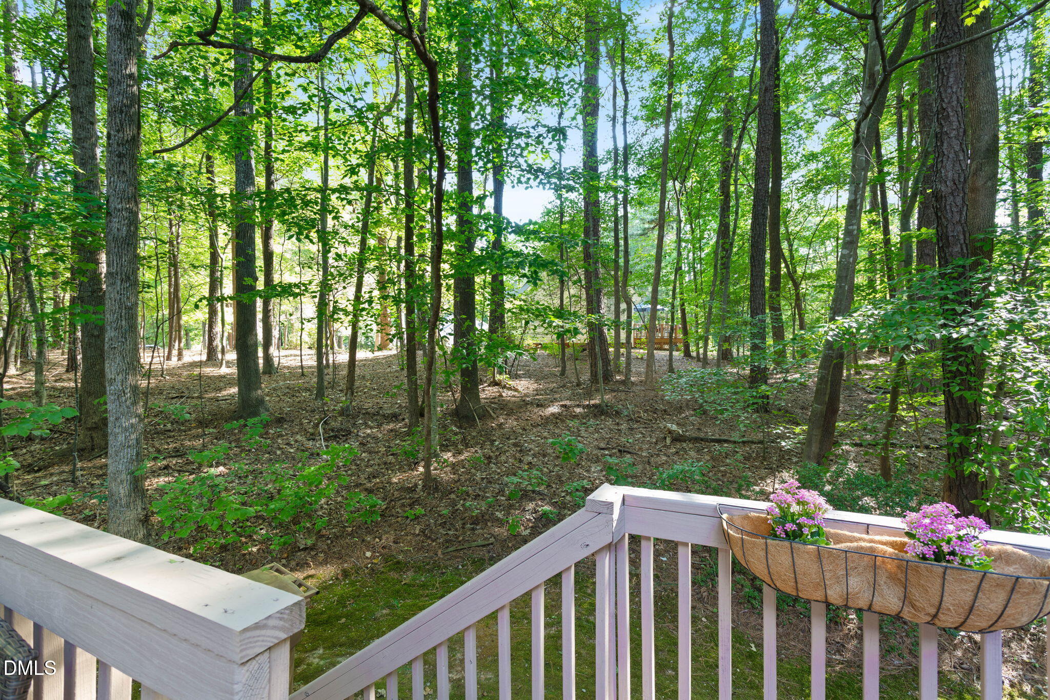 101 Hedgerow Court