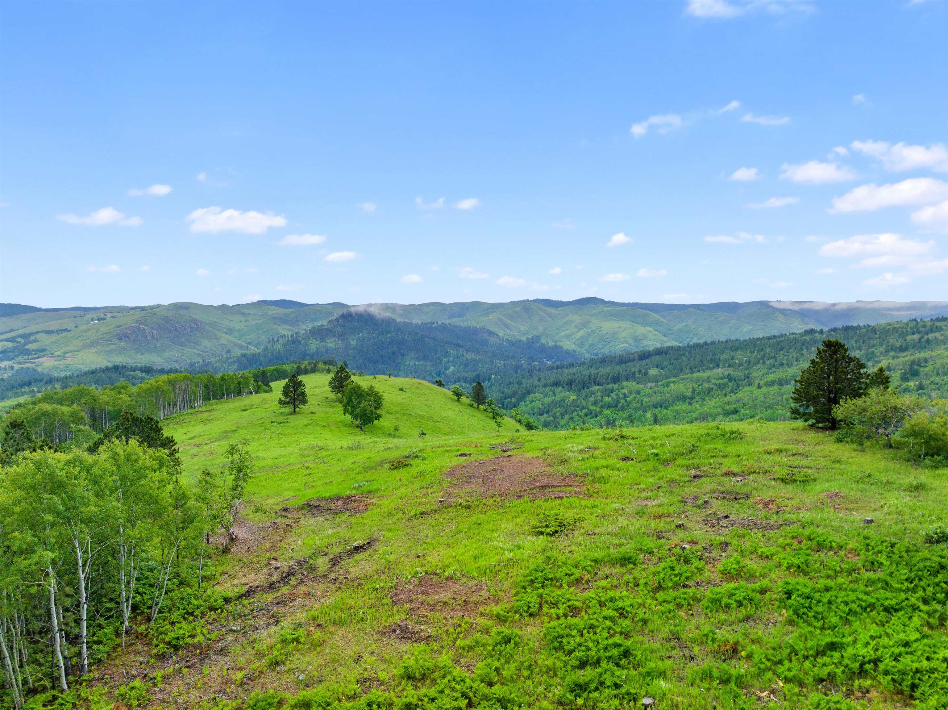 Lot11 BLK 5 TBD Mystery Wagon Road