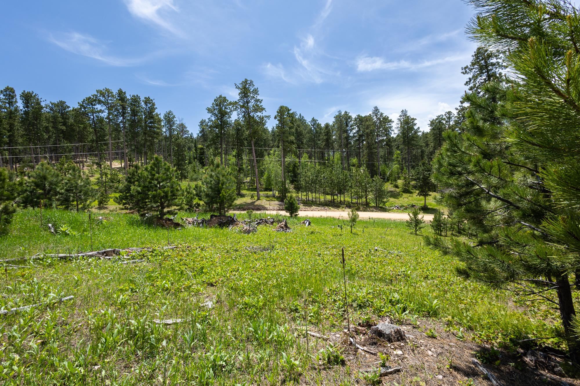 Lot 4 Magpie Road