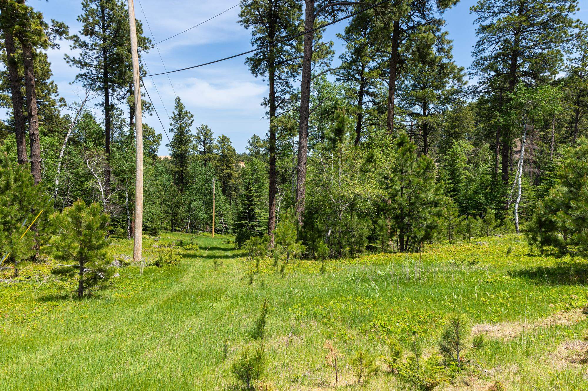 13.66 Acres Magpie Road