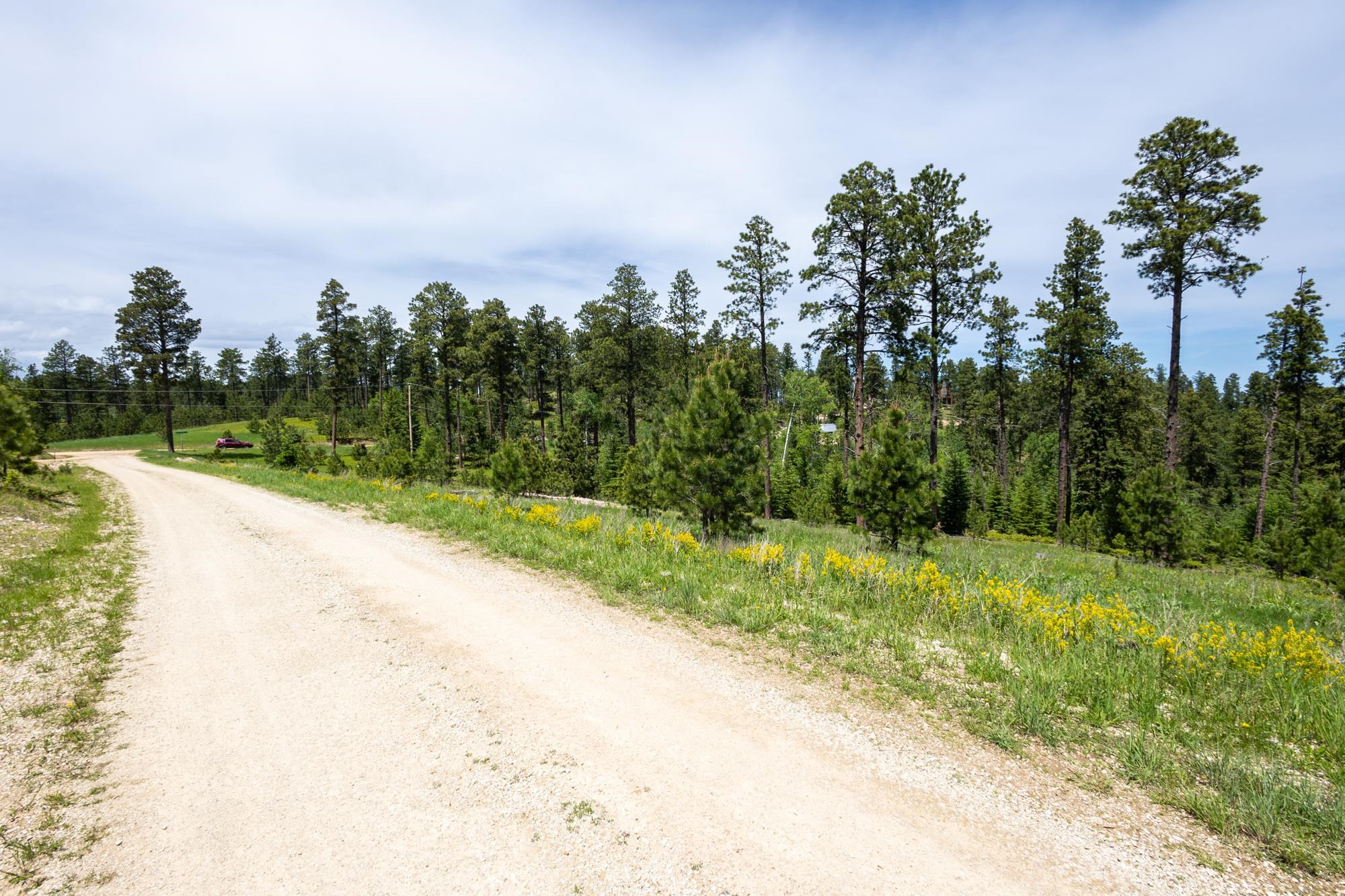 13.66 Acres Magpie Road