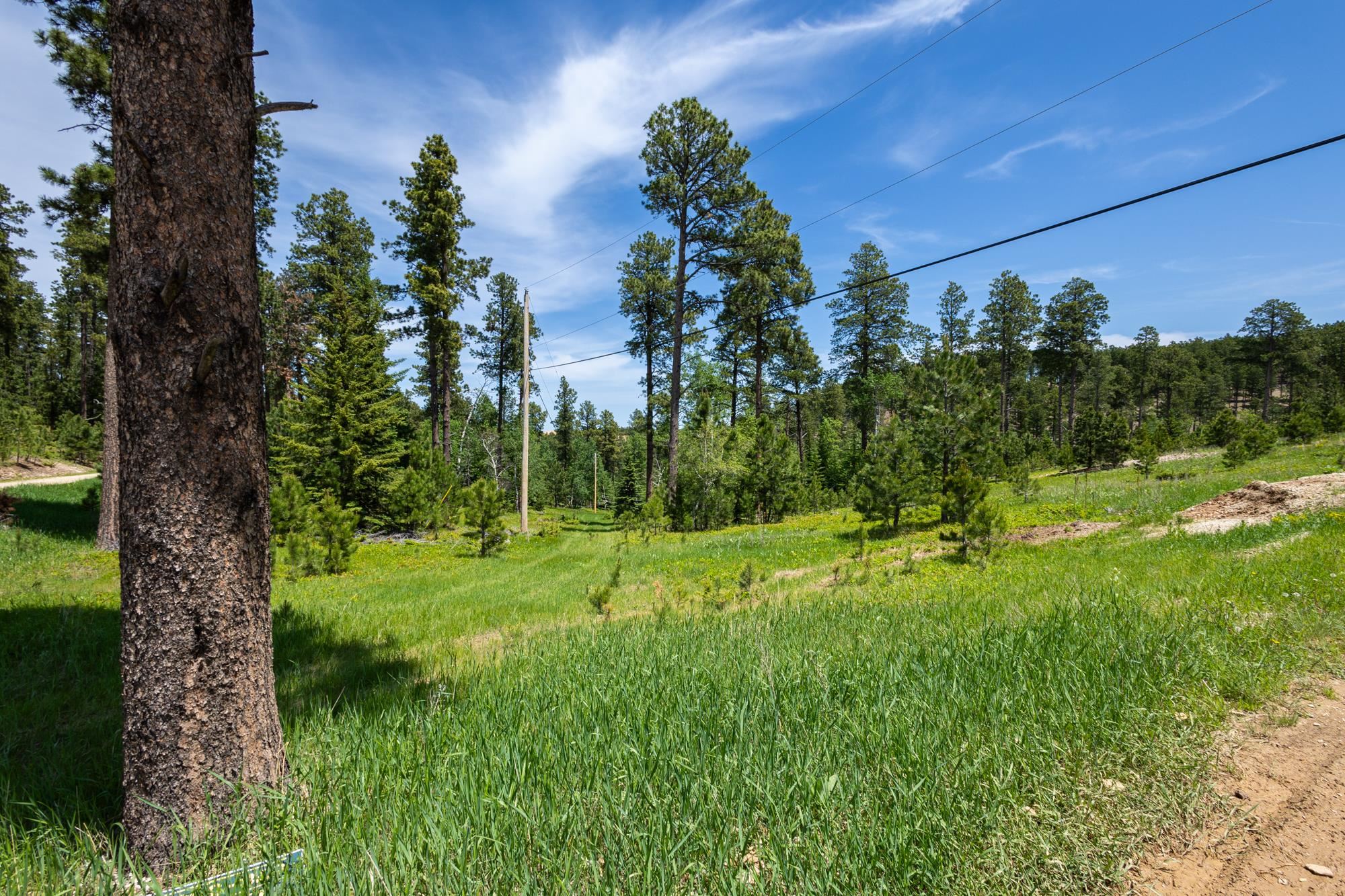 13.66 Acres Magpie Road