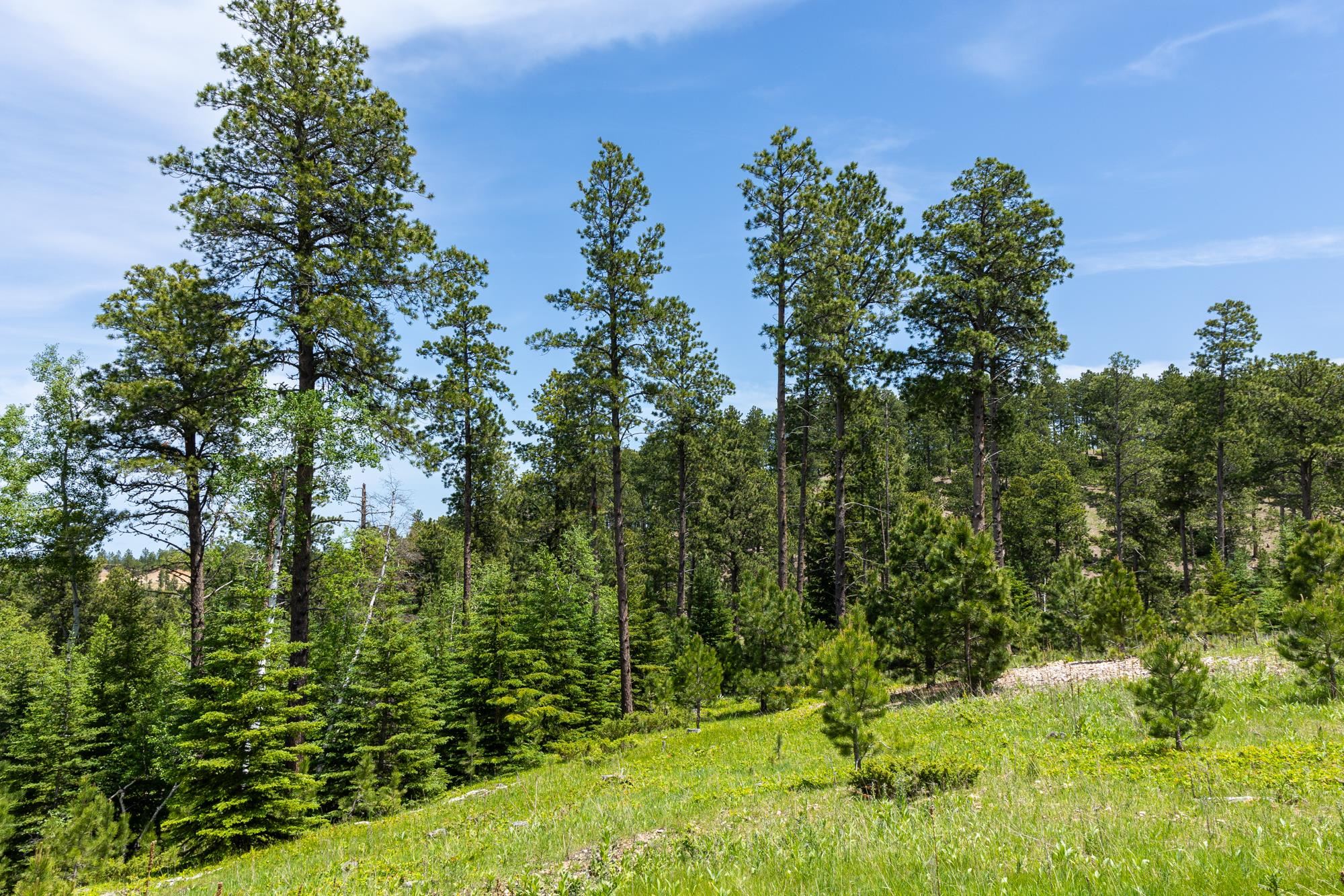 13.66 Acres Magpie Road