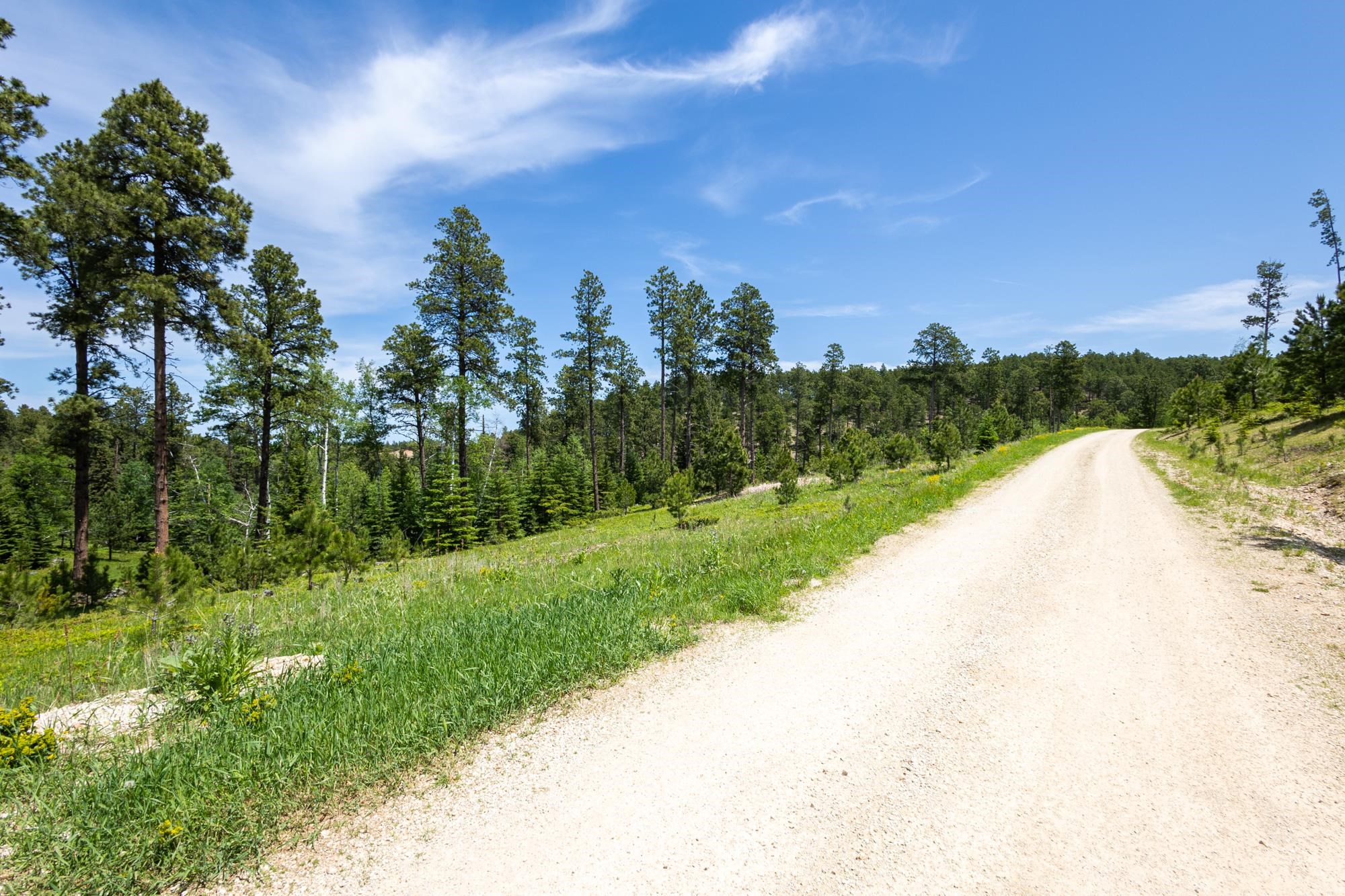 13.66 Acres Magpie Road