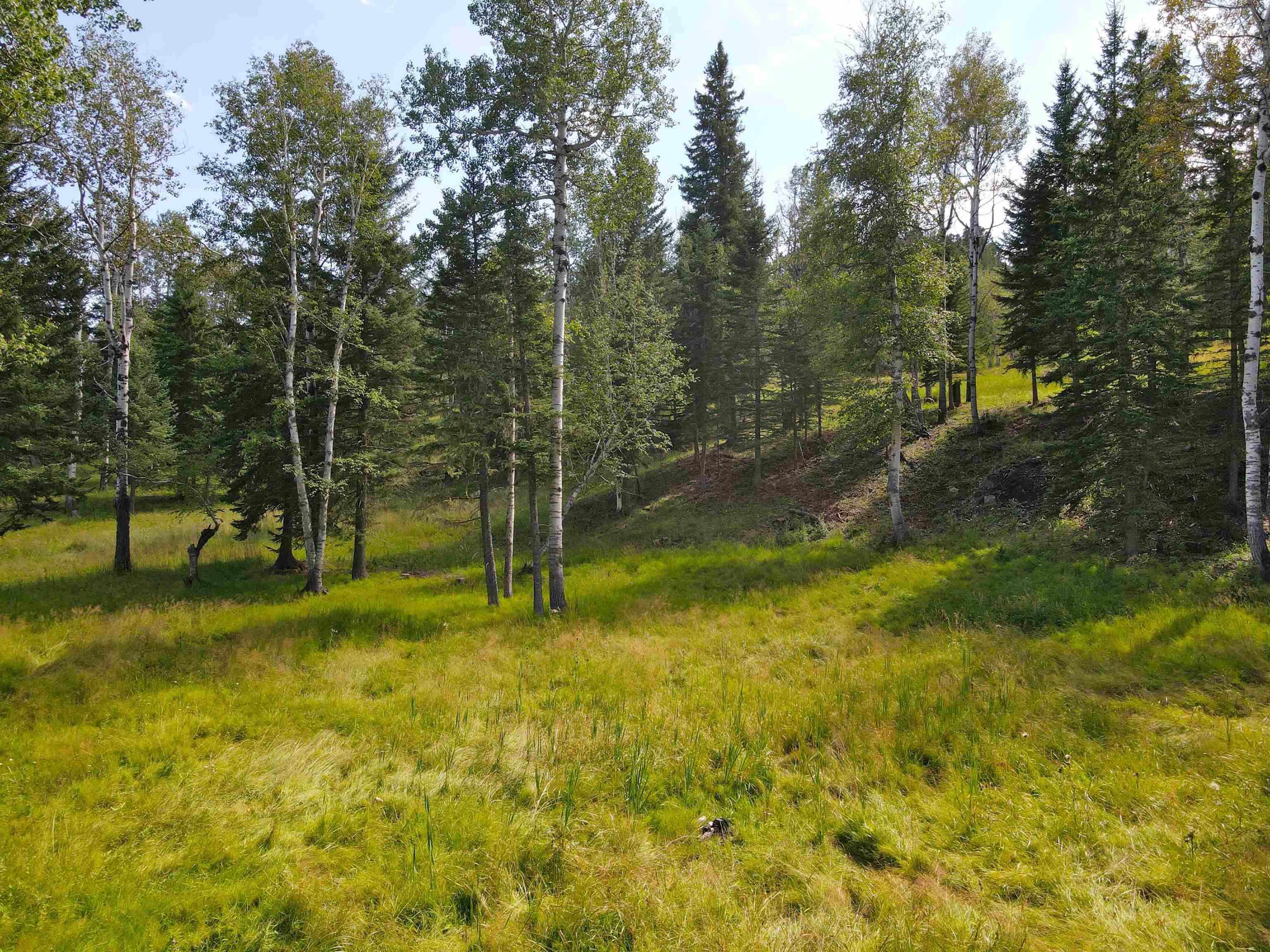 21334 Golden Slope Trail