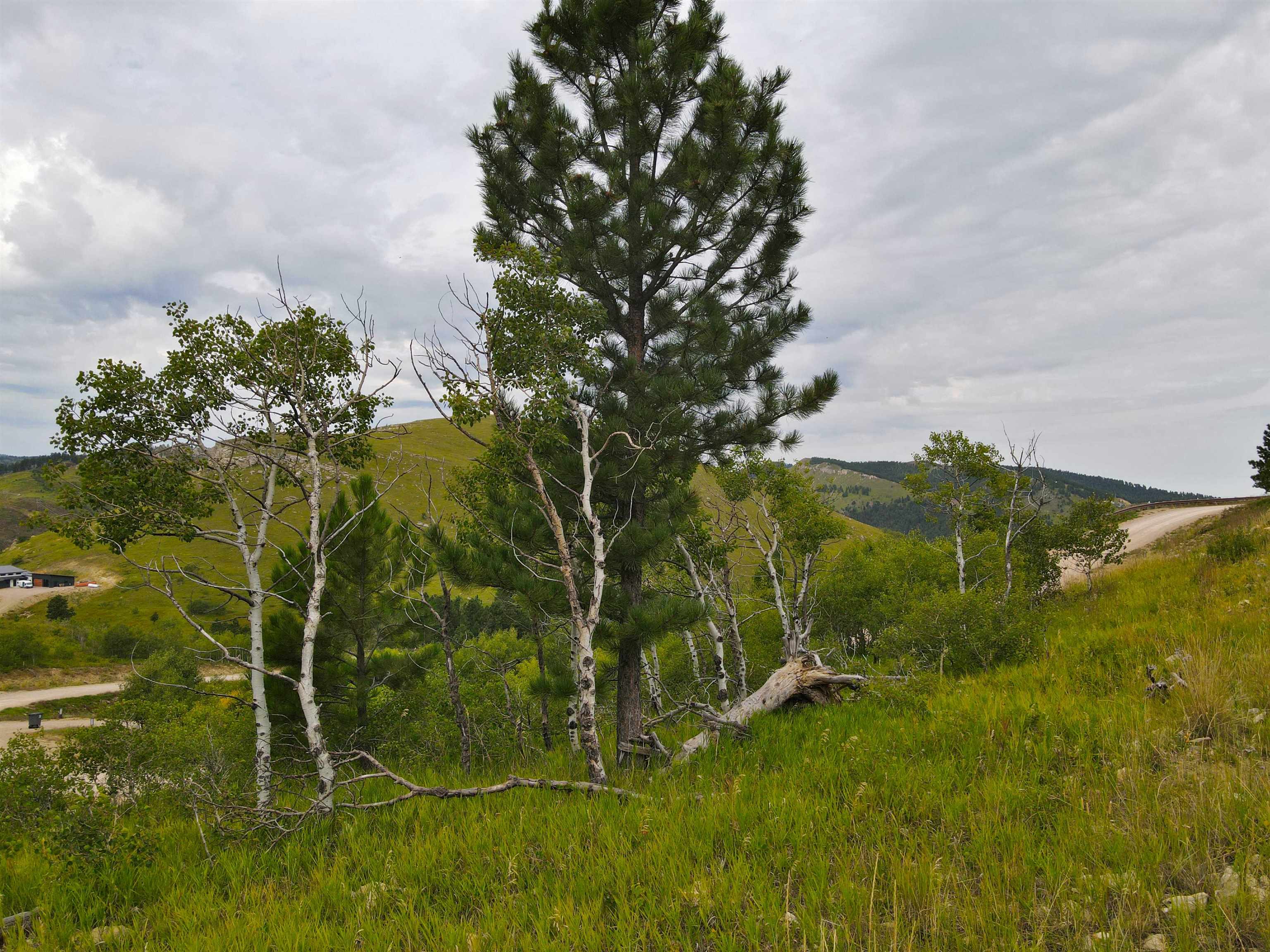 20867 Majestic Heights Road