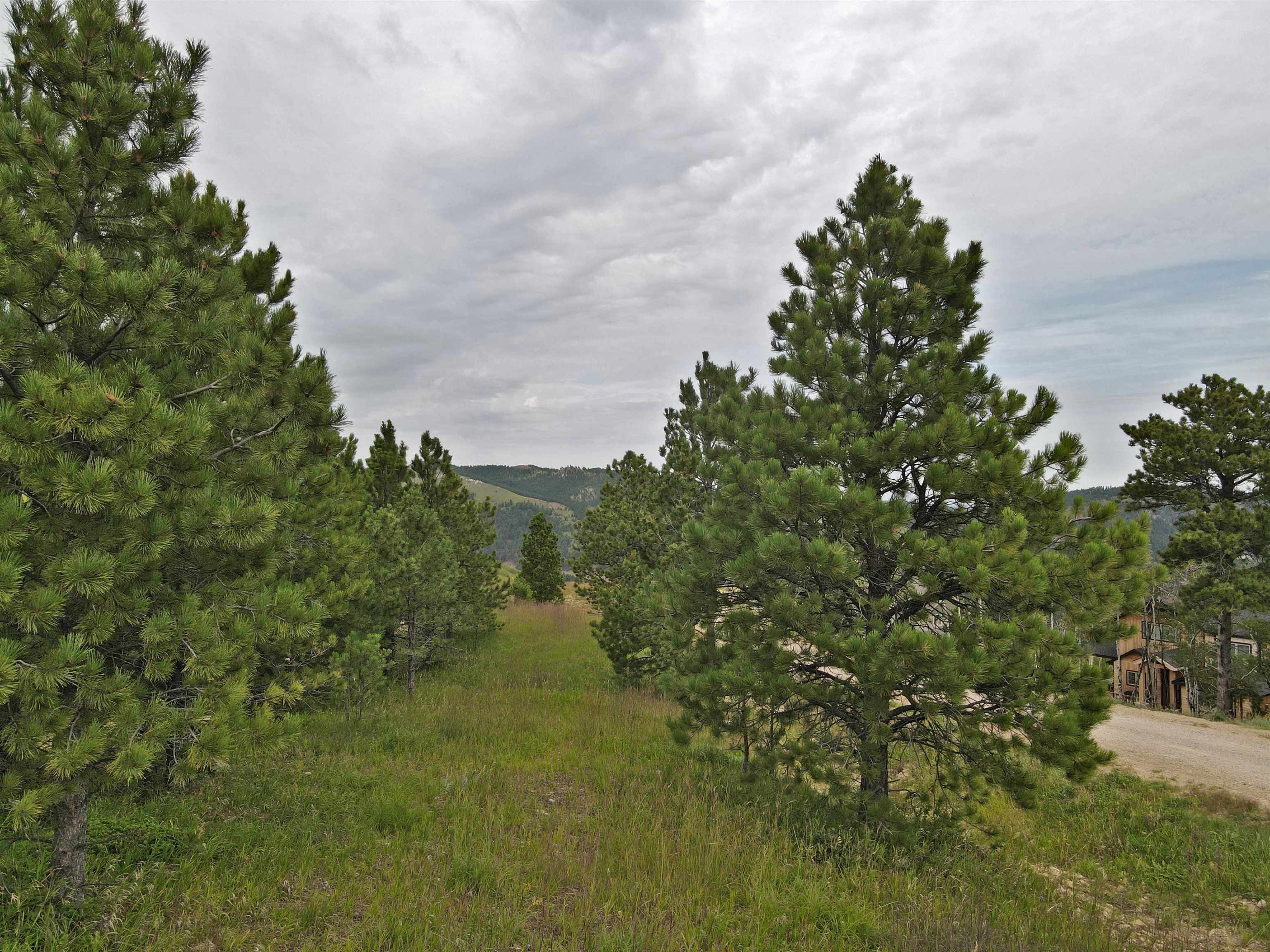 20867 Majestic Heights Road