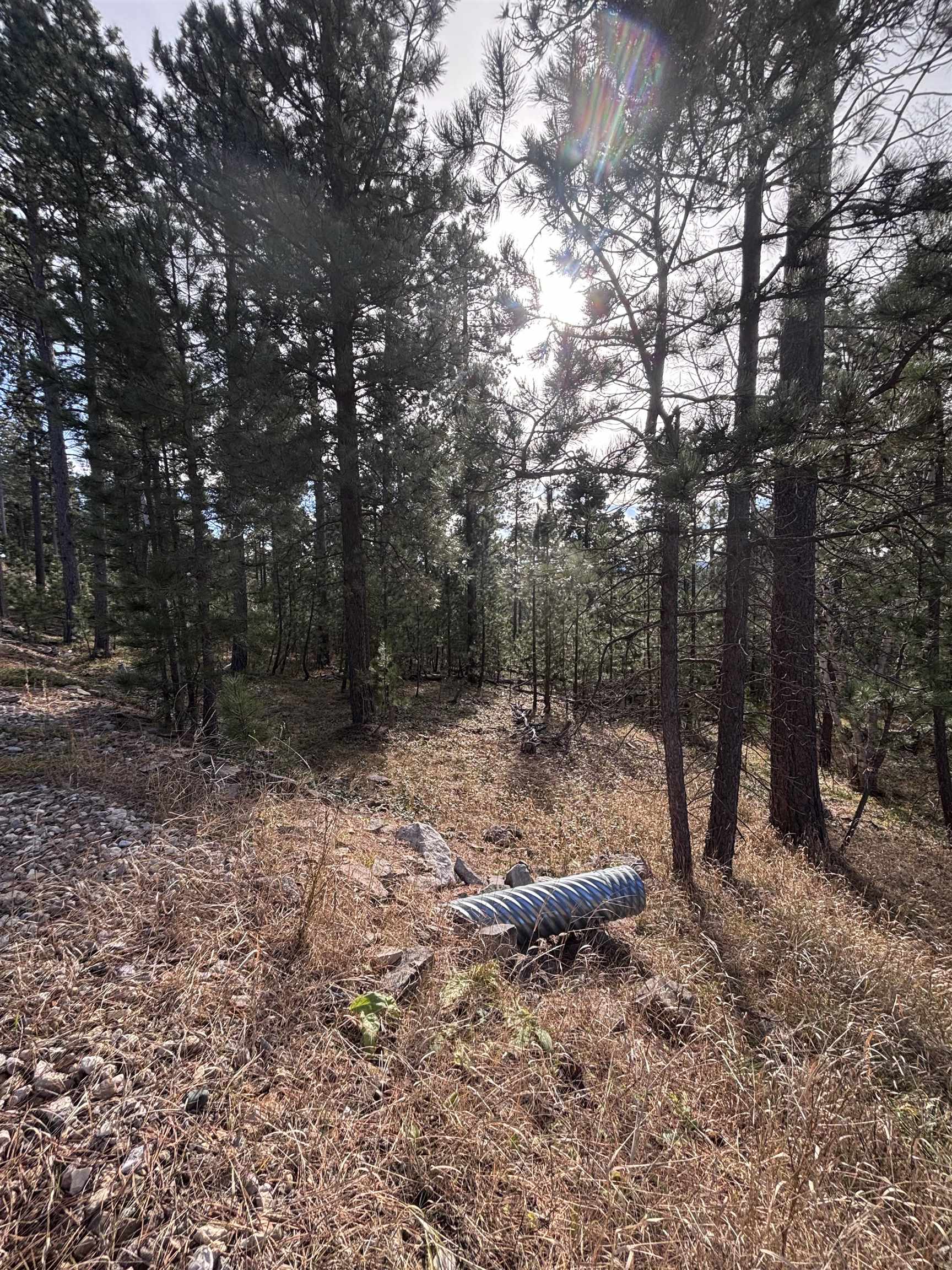 11795 Gilt Edge Road