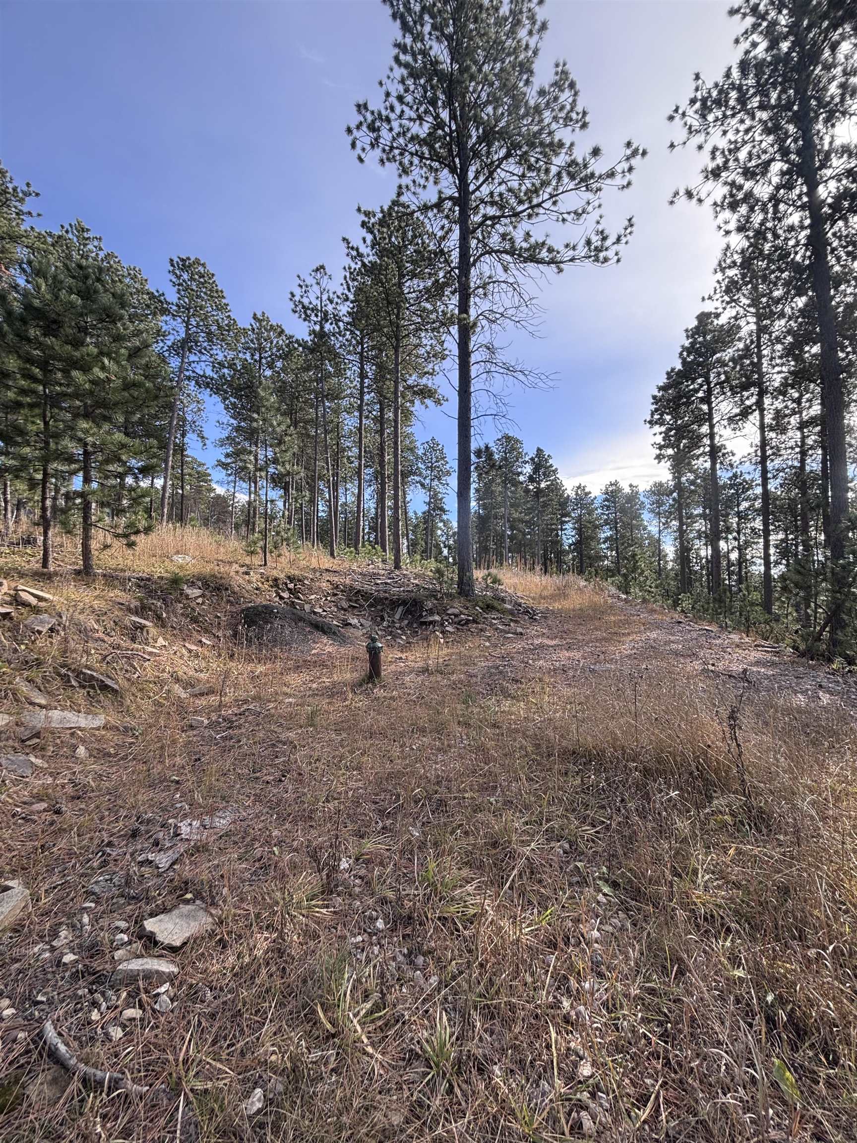 11795 Gilt Edge Road